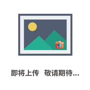 勝緒可調(diào)高壓數(shù)字兆歐表